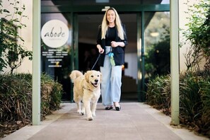 Una persona pasea un perro por un sendero pavimentado flanqueado por follaje, que conduce a un edificio con un cartel que dice 'abode'.