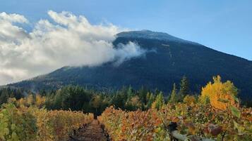 Cottage Basic | Lain-lain