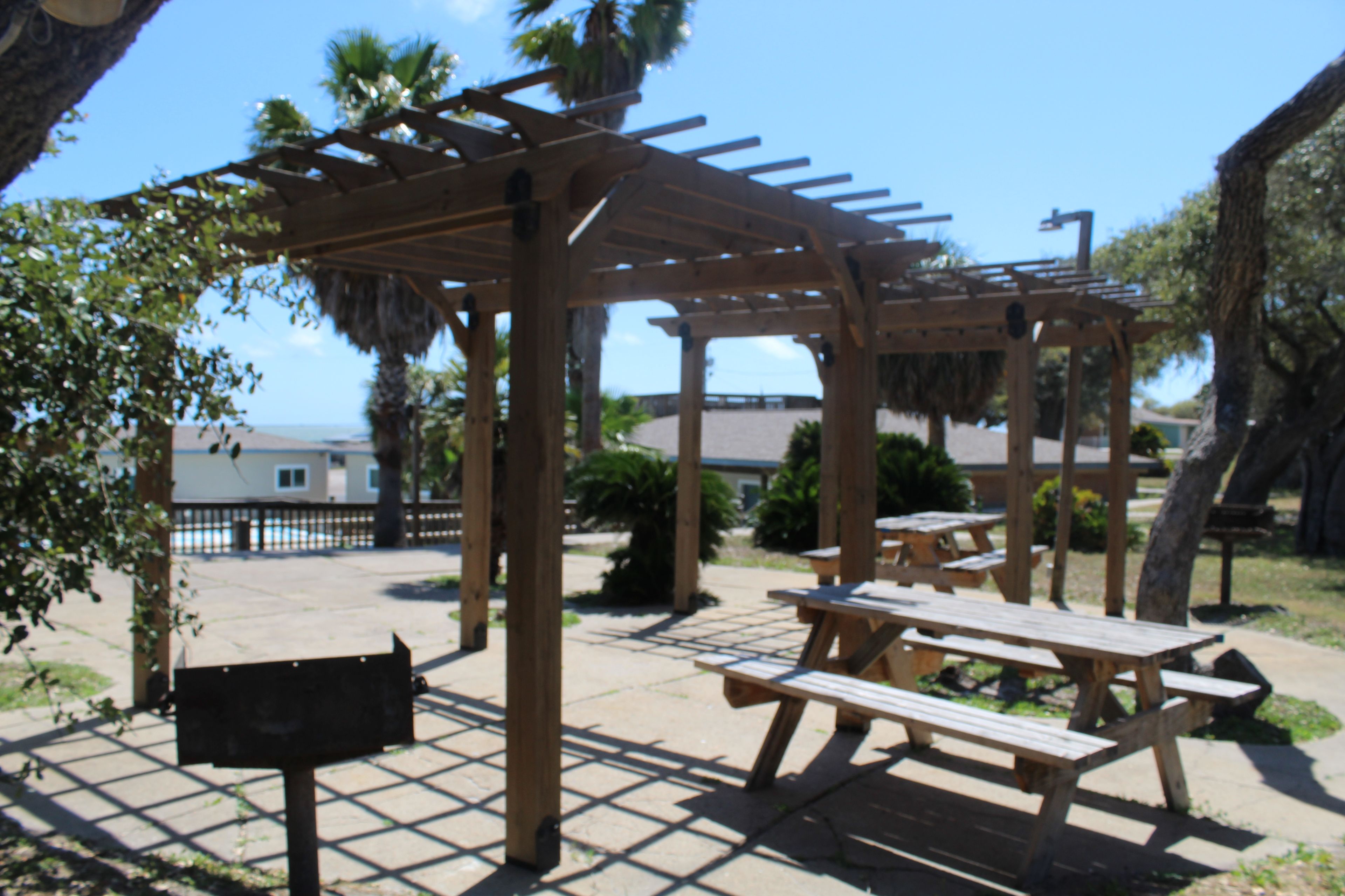 Una estructura de pergola de fusta amb taules de pícnic i bancs adossats, envoltada d'una zona pavimentada amb palmeres i vista a l'oceà.