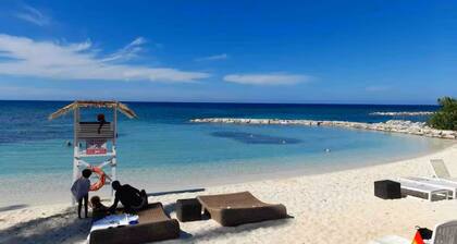 Seawind On The Bay Studio
