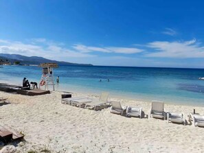 Beach - Seawind On The Bay Studio (Montego Bay)