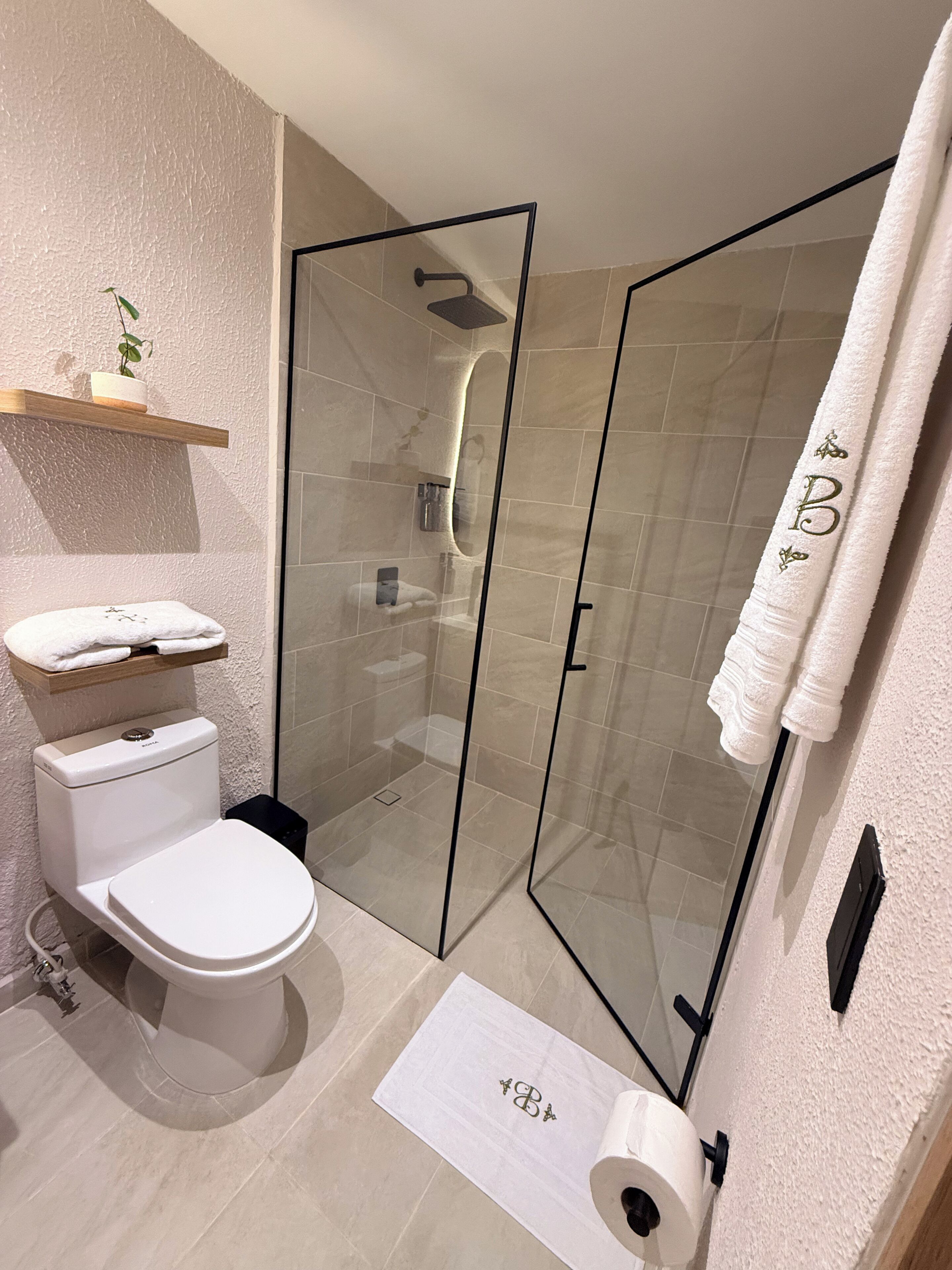 Un baño moderno con ducha de vidrio, inodoro y estante con una planta.