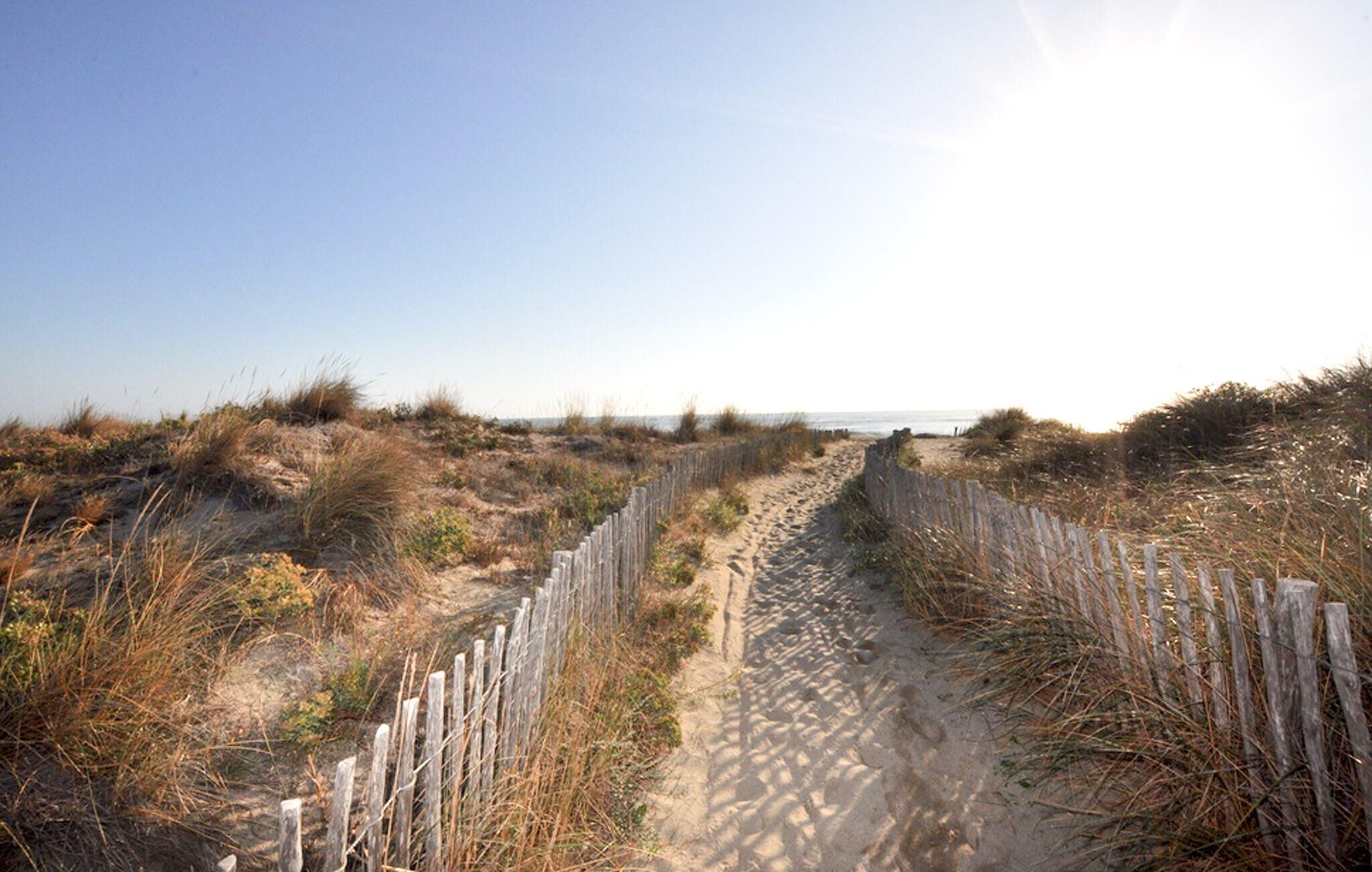 A sandy path bordered by wooden fences, leading to a beach.