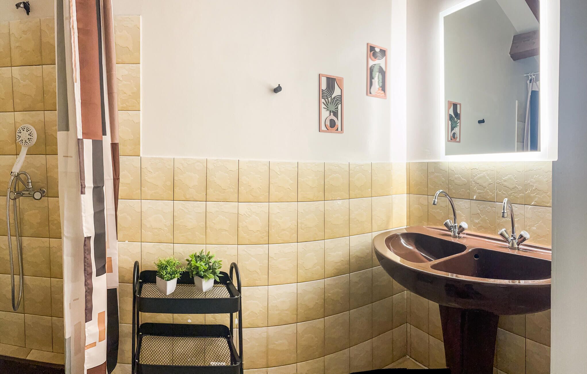 A bathroom with a shower, a sink, and a mirror. There are two potted plants on a shelf.