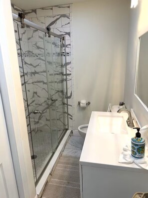 Hair dryer, soap - Next to Busch Gardens - 3BD/2BA - 6PPL (Tampa)