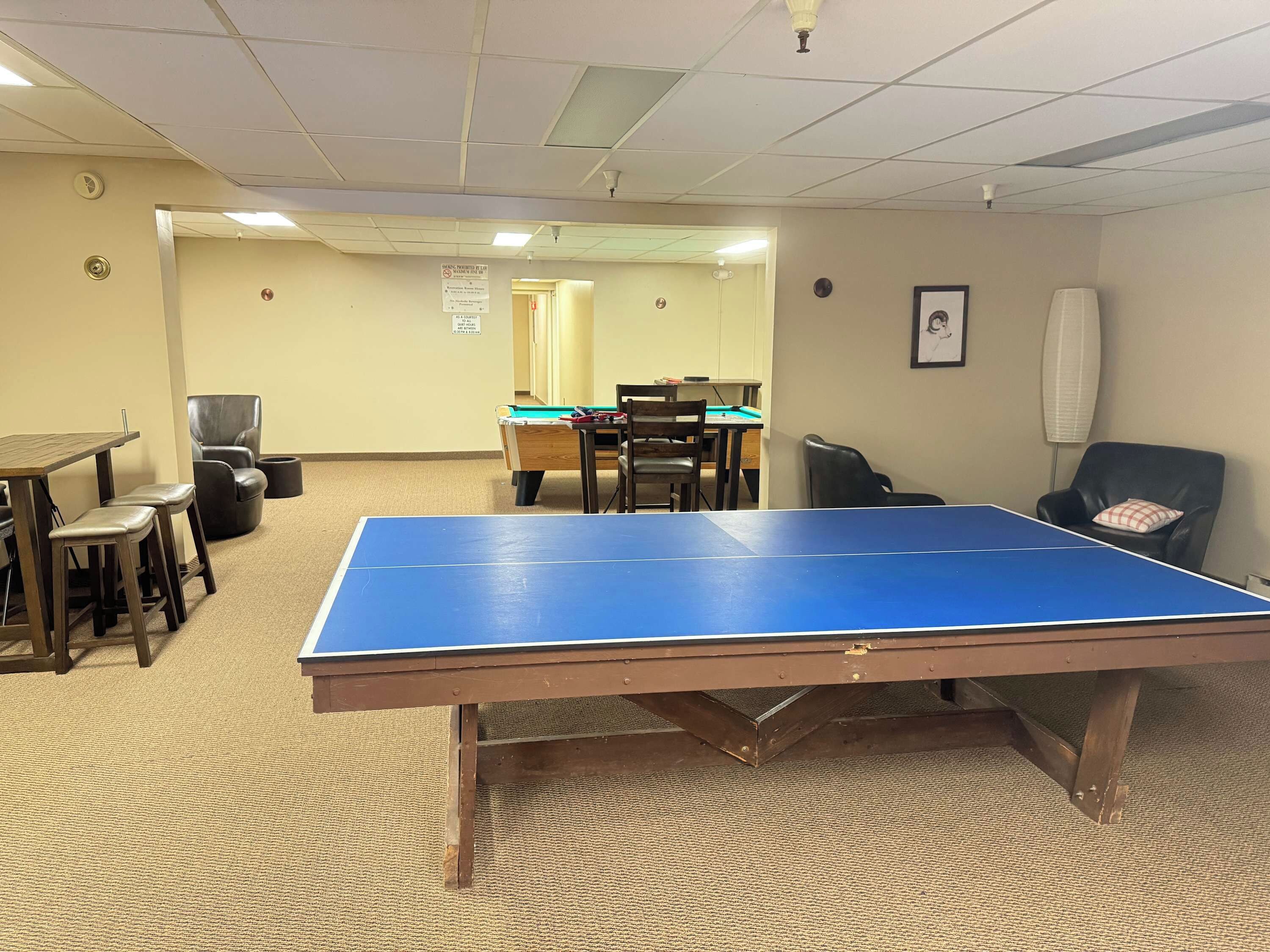 Shared game room - ping pong