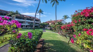 A hotel with a central lawn, palm trees, and bougainvillea flowers. - Kaanapali Royal | Ocean View 4 BR, Sleeps 11 | Car Incl. w/ 6+ Nights | KRO ML-3794 by KBM (Lahaina)