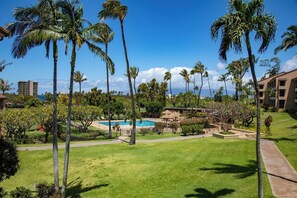 Property grounds - Kaanapali Royal | 3 Free Cars | KBM Resorts | 3 Multi-Listing Units, 6 Bedrooms | KRO ML-3797 (Lahaina)