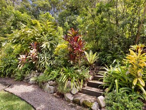 Property grounds - Luci`s Beach Retreat (Coolum Beach)