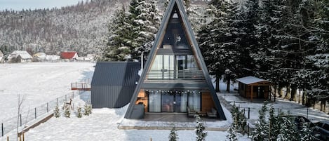 Un edificio moderno de forma triangular con grandes ventanales, rodeado de árboles nevados y un cielo despejado.