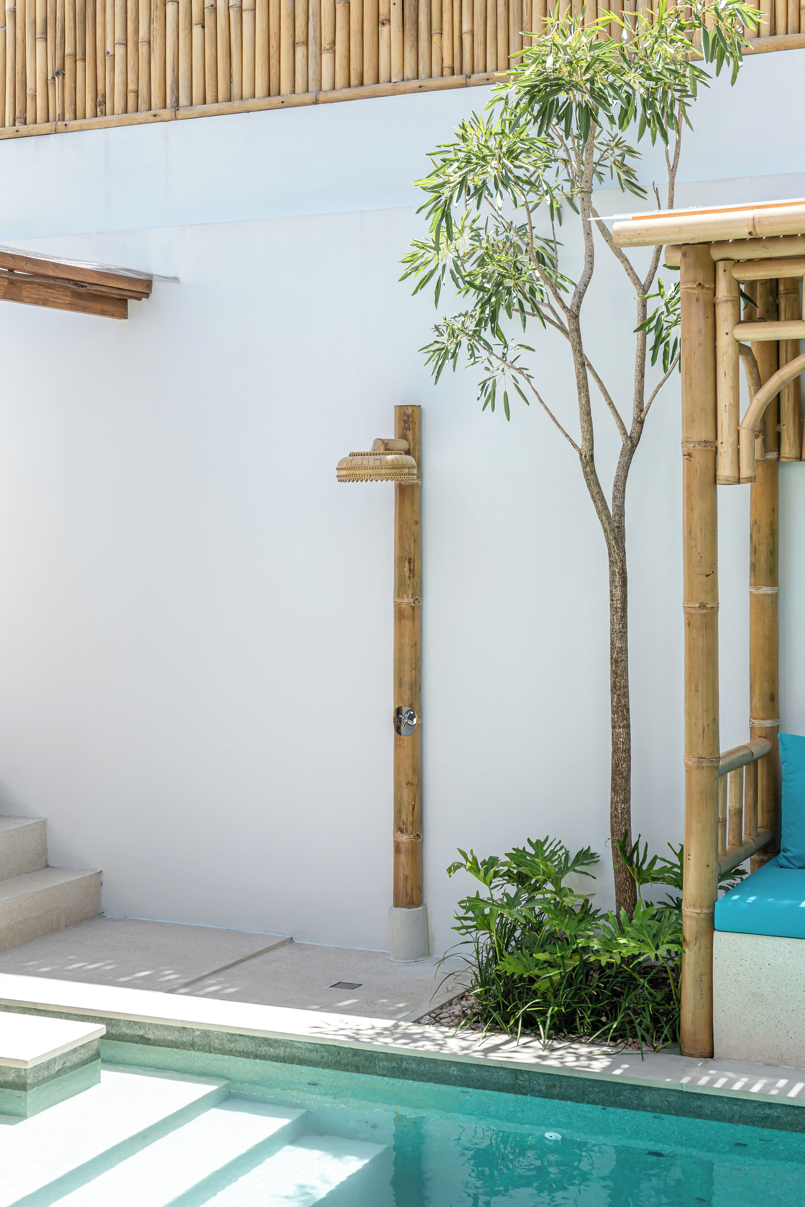 A poolside area with a bamboo fence, a small tree, and steps leading to a pool.