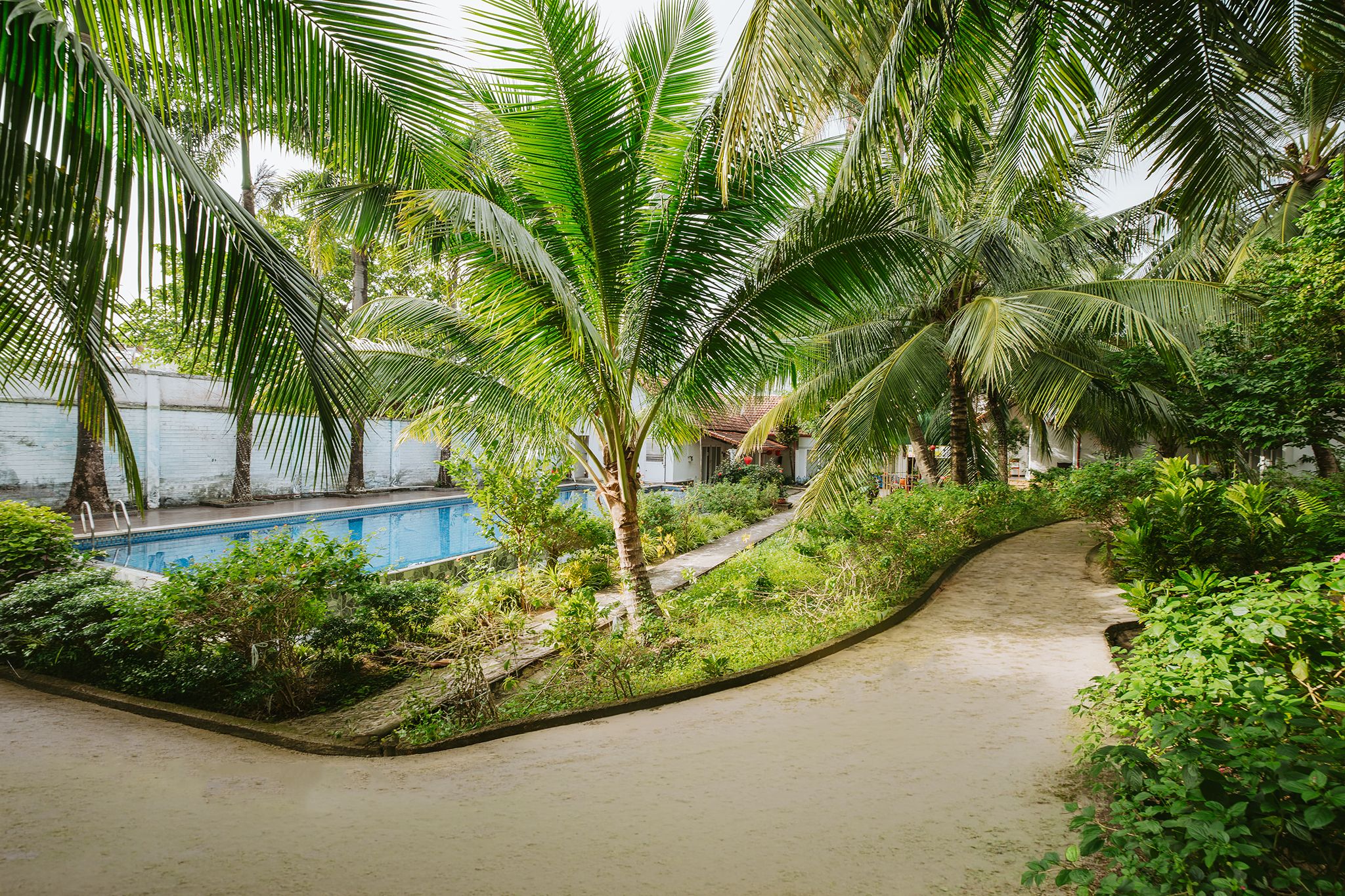 Un sendero conduce a una piscina rodeada de exuberante vegetación y palmeras.