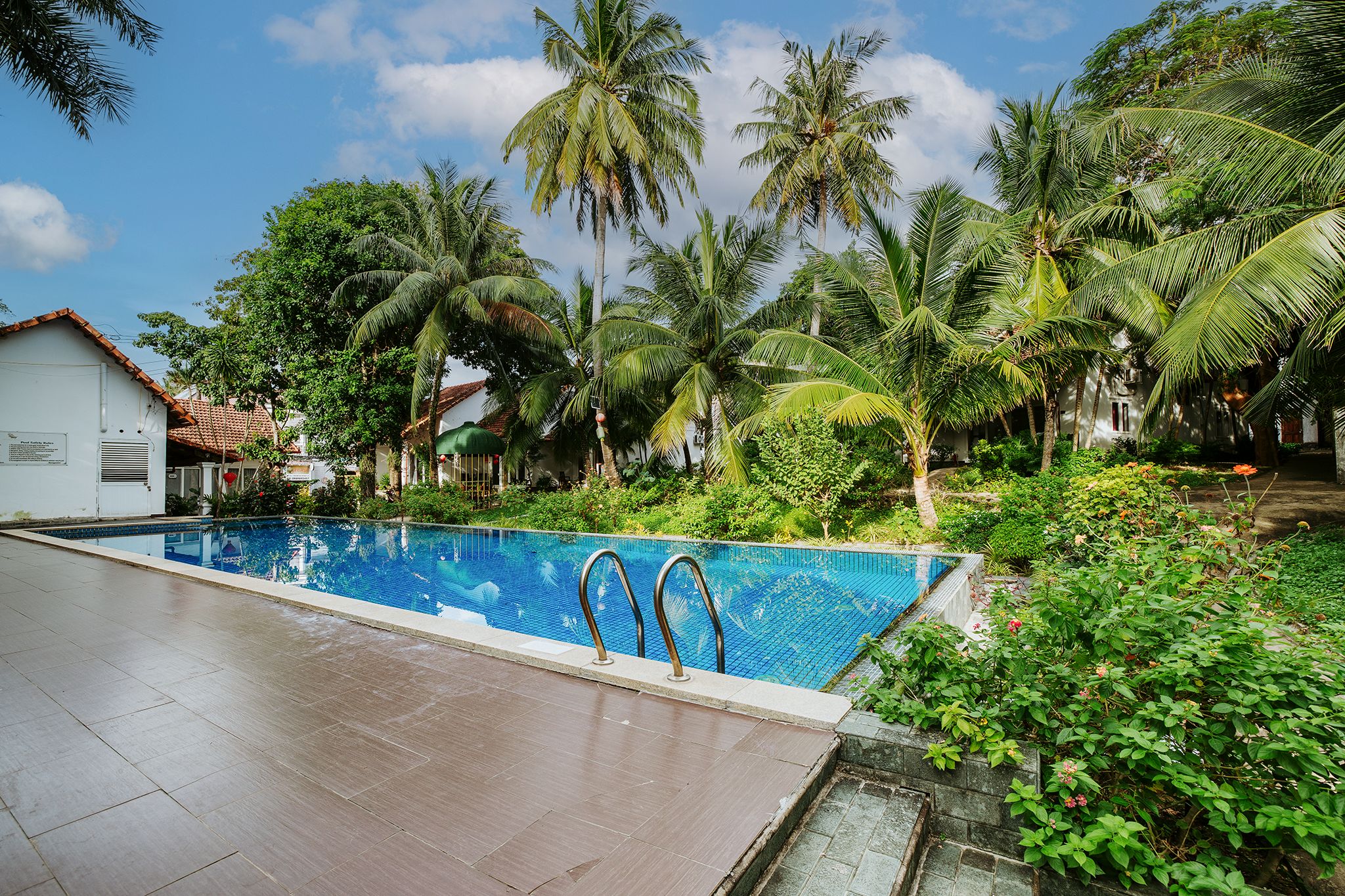 A swimming pool surrounded by lush greenery and palm trees.