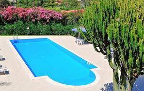 Pool - Lovely apartment in Ricadi with swimming pool (Ricadi)