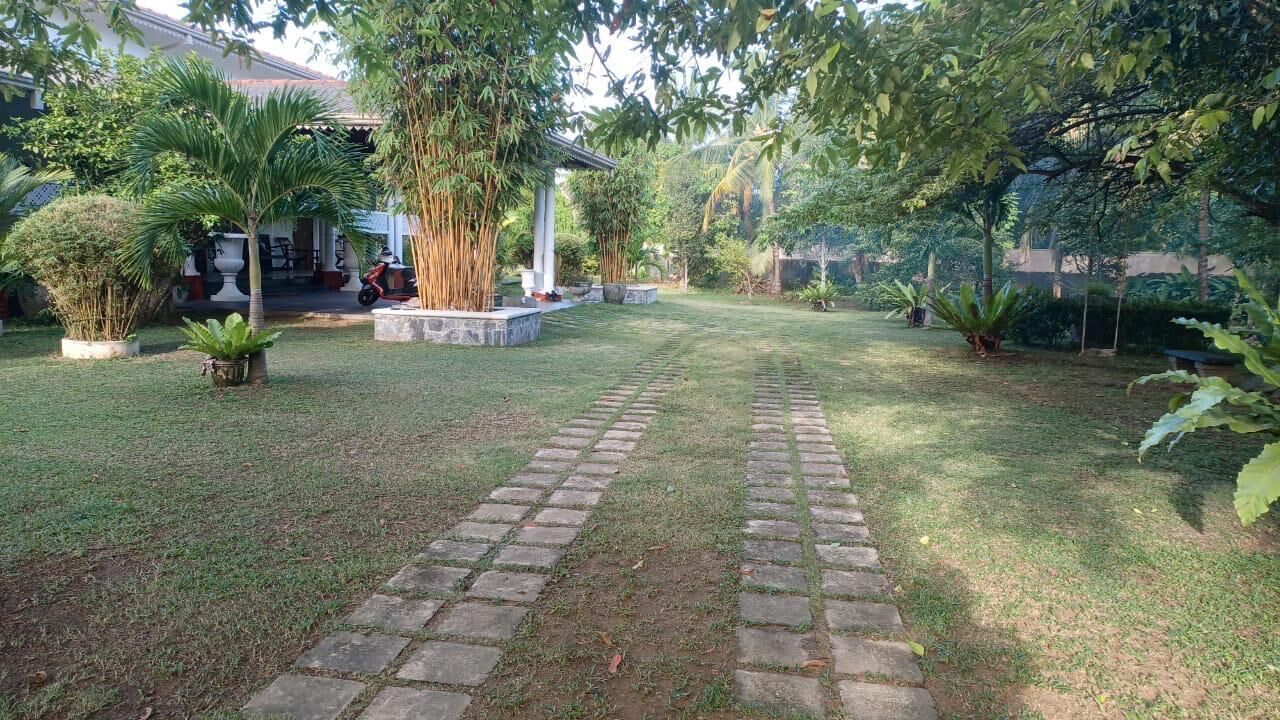 A paved pathway leading through a well-maintained garden with various plants and a gazebo structure.