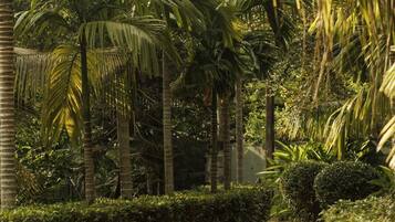 ๋๋ญ์ค ๋น๋ผ, ์ ์ ์ ๋ง | ์๋ฐ ์์ค ๊ตฌ๋ด