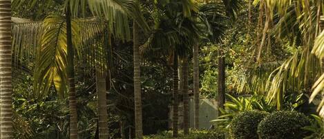 Deluxe Villa, Garden View | Property grounds