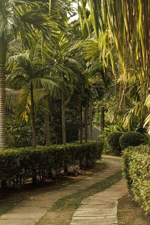 Vila luxo, vista para o jardim | Área da propriedade