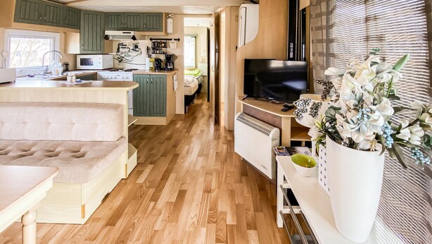 Interior compacto de una autocaravana con kitchenette, un sofá, un televisor y una planta decorativa.