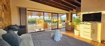 Cabin Vineyard Retreat in Mendoza