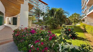 A hotel courtyard with a pool, palm trees, and a modern building with balconies. - Near the beach, with a terrace and beautiful views (Mazatlán)