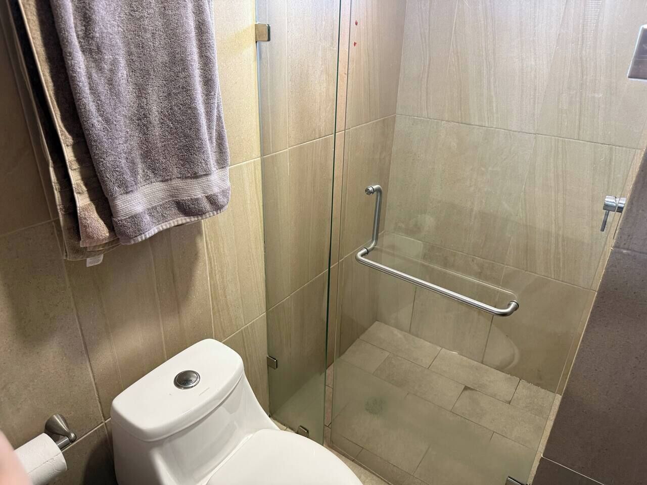 A shower with a glass door, a toilet, and a towel rack.
