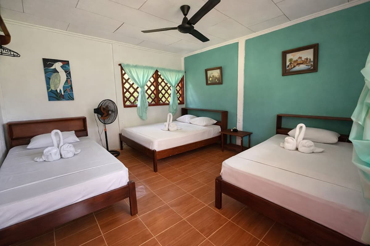 A hotel room with three wooden beds, each with white linens and swan-shaped towels. There is a ceiling fan, a window with a lattice design, and two framed pictures on the walls.