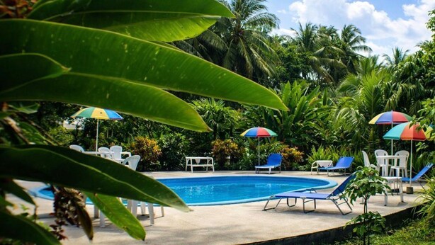 A swimming pool with lounge chairs and umbrellas, surrounded by palm trees and greenery. - Ilan Ilan tortuguero (Colorado)