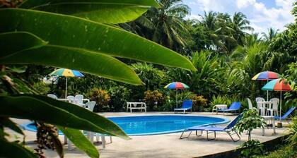 Ilan Ilan tortuguero