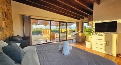 Cabin Vineyard Retreat in Mendoza