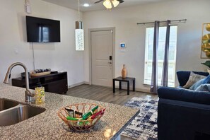 TV - Modern Houston extended stay near downtown medical center dining nightlife and major attractions (Houston)