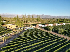 Exterior - Cosy Vineyard Casita (Mendoza)