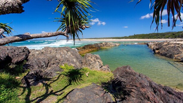 Un paysage côtier avec une eau claire, des rivages rocheux et un palmier.