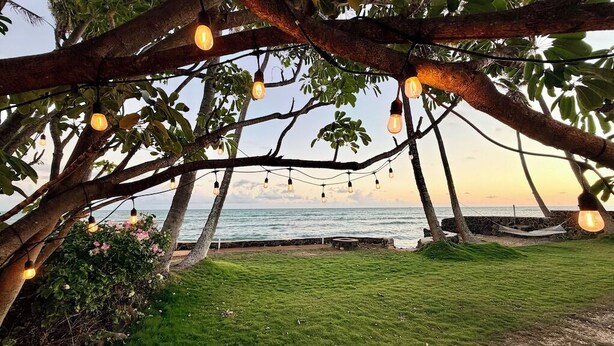 Un albero con lampadine appese, una zona erbosa e vista sull'oceano.