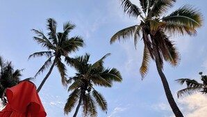 Un'amaca tesa tra palme che si affaccia su una spiaggia.