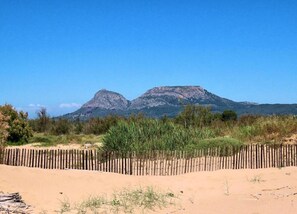 Ein sandiger Strand mit einer Holzzahlung und vereinzelter Vegetation im Vordergrund, der in die Ferne zu einem Gebirgszug führt.