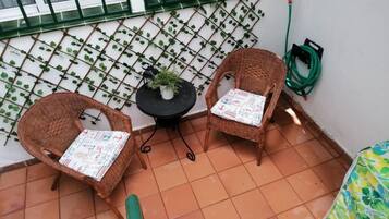 Terras