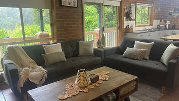 TV, fireplace, DVD player, video library