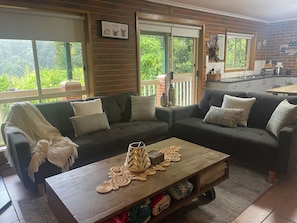 TV, fireplace, DVD player, video library