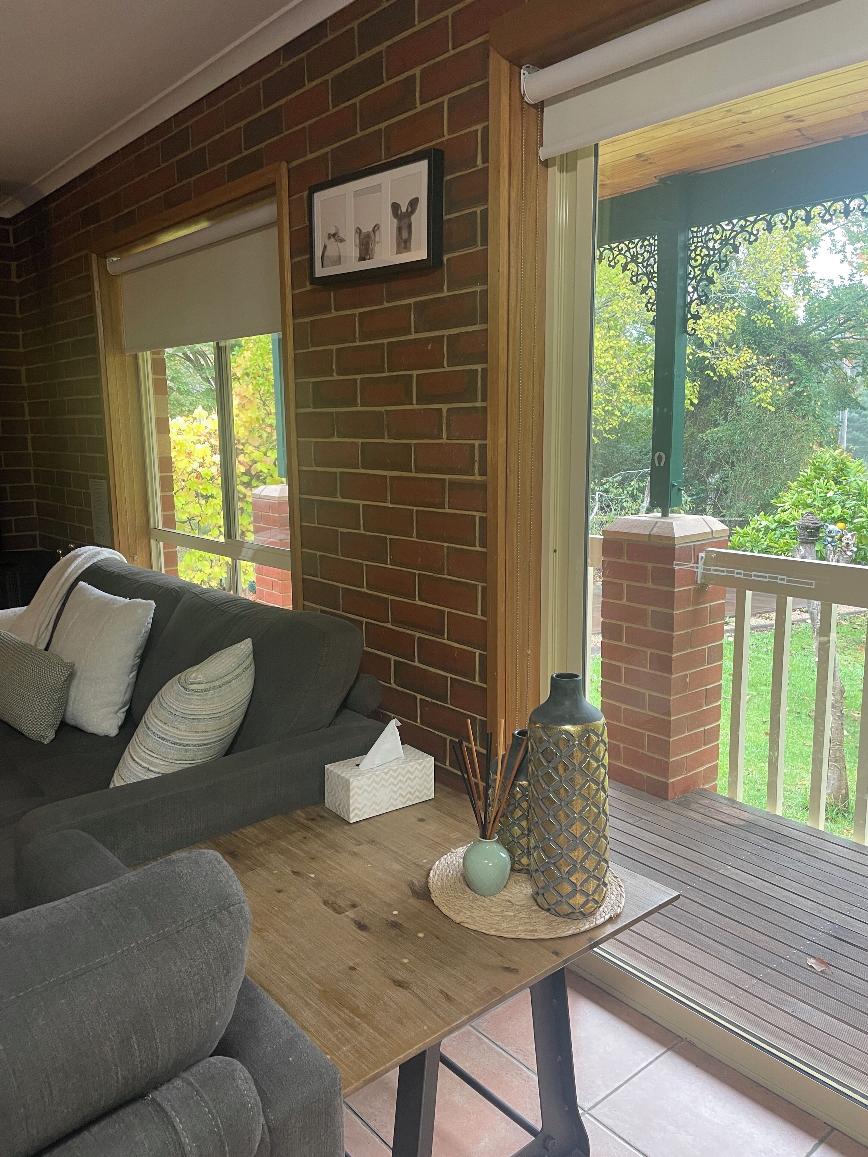 TV, fireplace, DVD player, video library