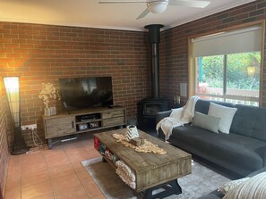 TV, fireplace, DVD player, video library