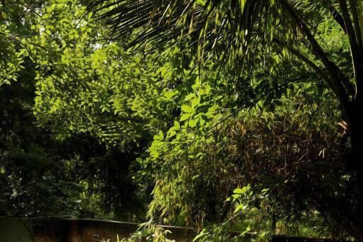 Kolmen hengen huone, parveke, näköala uima-altaalle | Uima-allas