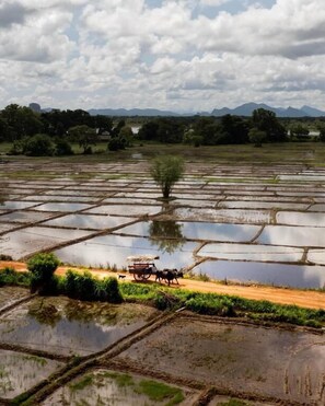 Miscellaneous - Varanya By Regus (Habarana)