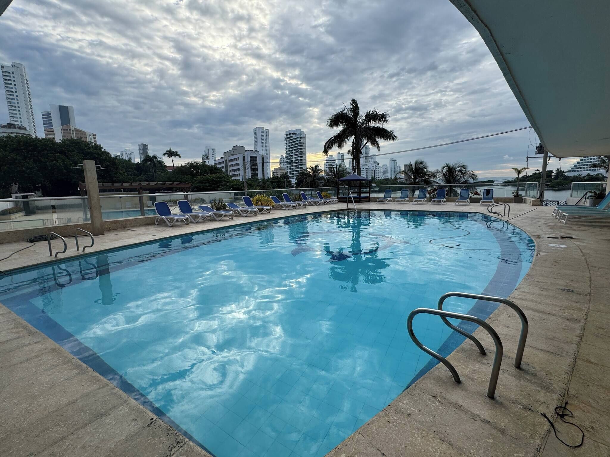 A swimming pool with lounge chairs, a palm tree, and a city skyline in the background.