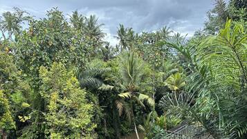 Vista desde la propiedad