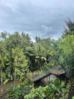 View from property - Rupa Arya Villa (Ubud)