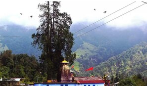 Miscellaneous - Hotel Mangal Taara (Joshimath)