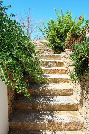 Property grounds - VILLA ANDROMEDA (AEGIALI)