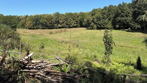 A natural landscape with a field, trees, and a pile of logs. - Cozy nature escape for relaxation, connection, and memorable stays (Poiana cu Cetate)