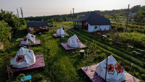 A campsite with tents arranged in rows, surrounded by greenery and a small building in the background. - Cozy nature escape for relaxation, connection, and memorable stays (Poiana cu Cetate)
